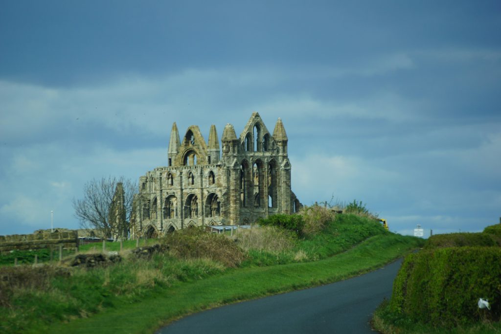 sheila-c-mjN5TPeLMKg-unsplash